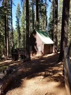 8549 Big Creek Road, Quincy, CA 95971 - #3