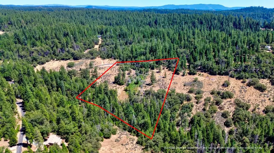 19437 Ponderosa Drive, Pioneer, CA 95666 - #2