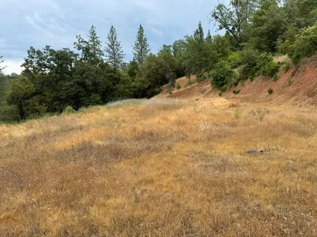 6019 Pappalardo Prominade, Murphys, CA 95247 - #1