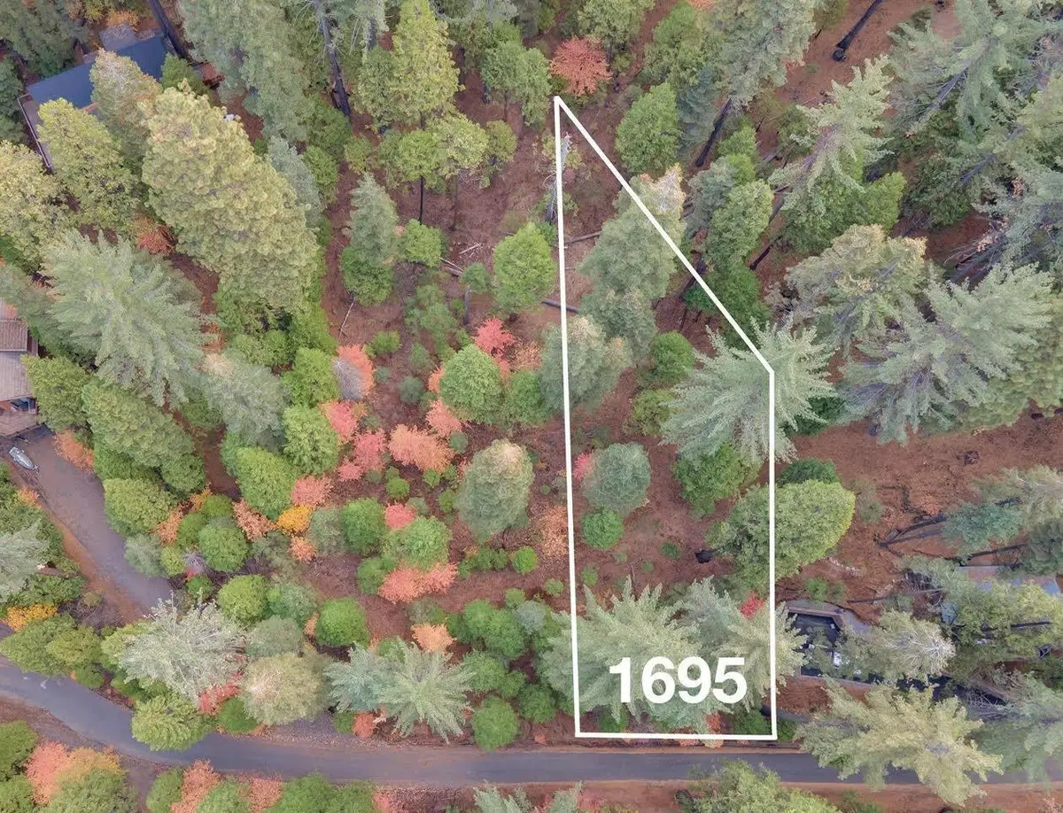 1695 Manzanita Drive, Arnold, CA 95223 - #1