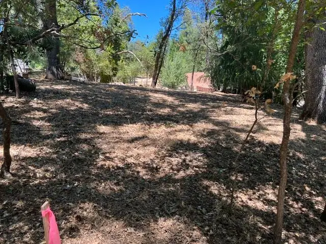 0 Clay Street, Placerville, CA 95667 - #2