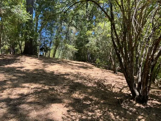 2930 Clay Street, Placerville, CA 95667 - #3