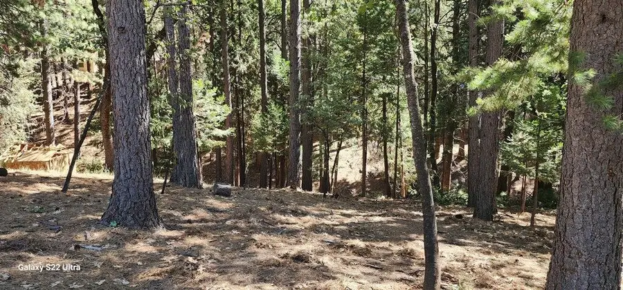 5701 Lupin Lane, Pollock Pines, CA 95726 - #2
