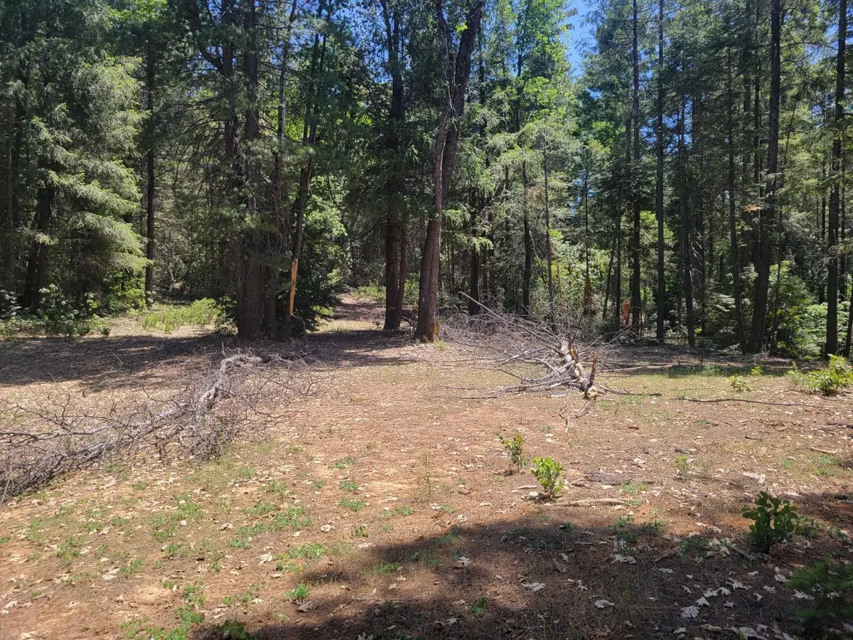 12 Ringtail, Georgetown, CA 95634 - #1