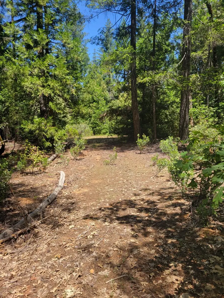 12 Ringtail, Georgetown, CA 95634 - #2