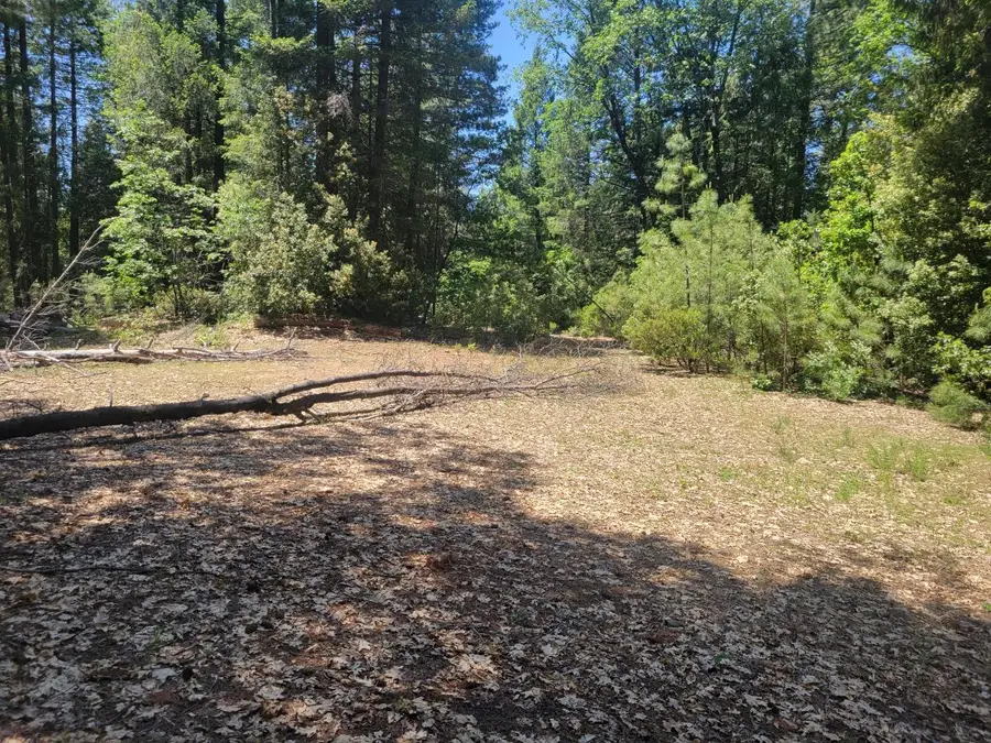 12 Ringtail, Georgetown, CA 95634 - #3