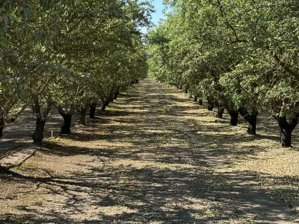 1327 Hazeldean Road, Waterford, CA 95386