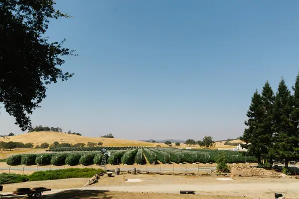 Address Withheld By Seller, Valley Springs, CA 95252
