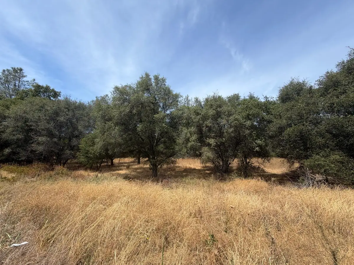0 Horseshoe Bar Rd, Loomis, CA 95650 - #1