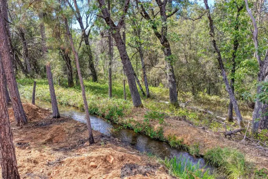 5181 Faraway Road, Greenwood, CA 95635 - #2