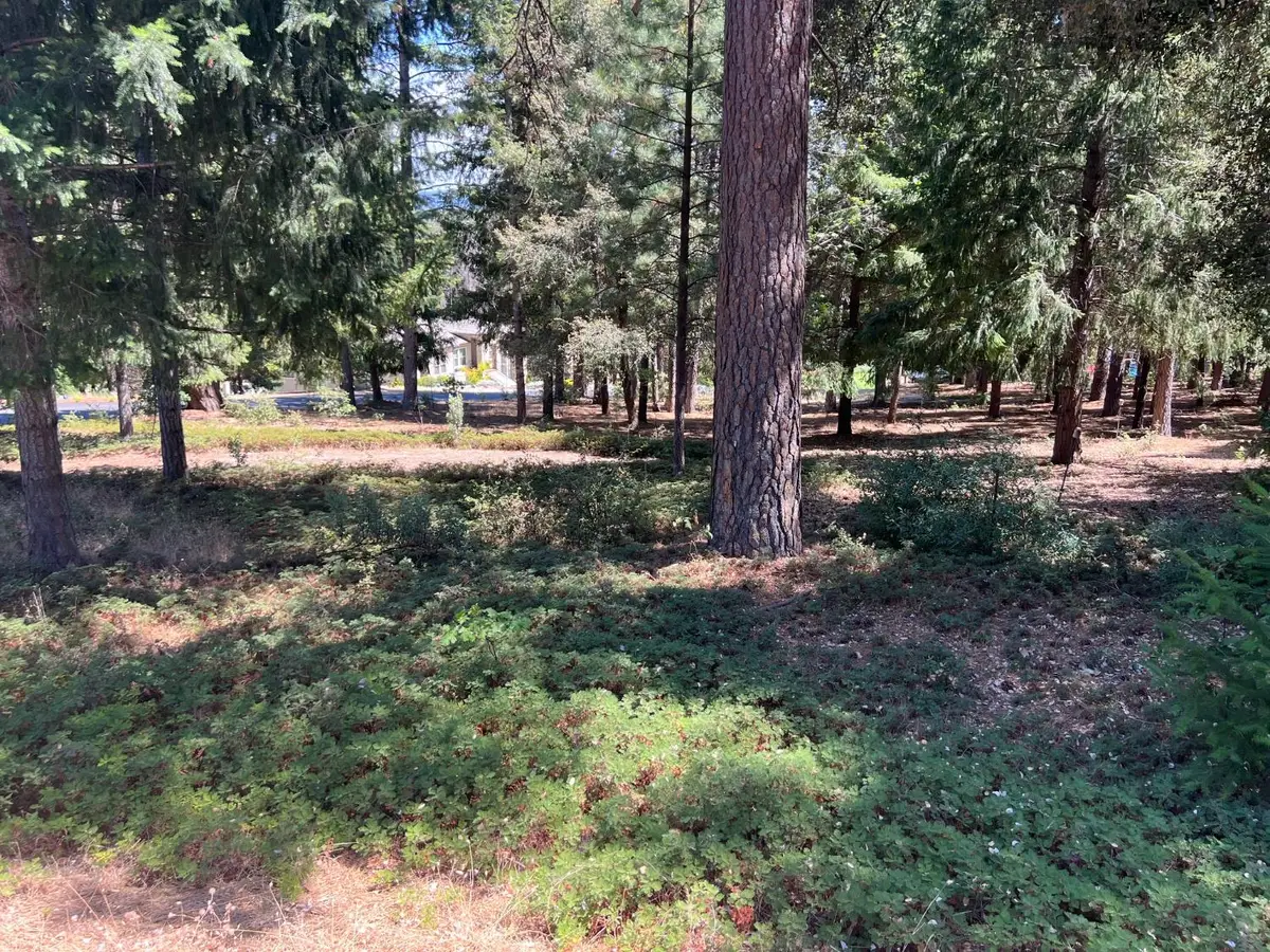 4400 Santa Croce Court, Foresthill, CA 95631 - #1