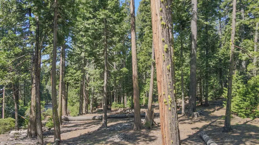 403 Sierra Parkway, Camp Connell, CA 95223 - #2