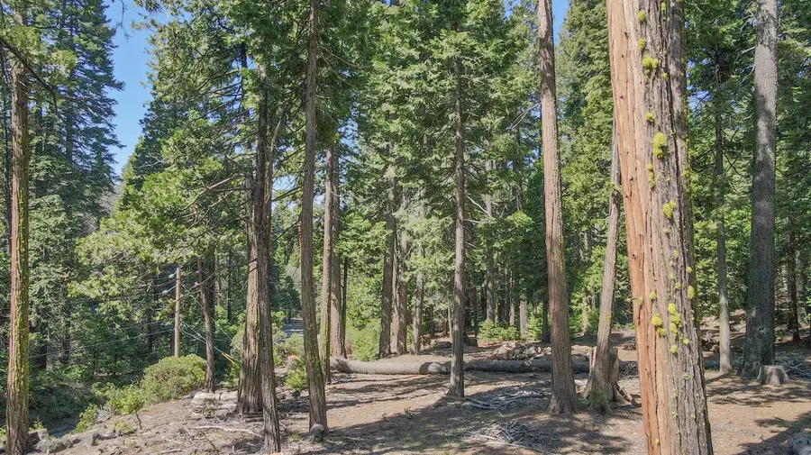 403 Sierra Parkway, Camp Connell, CA 95223 - #3