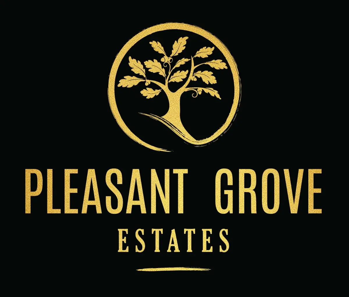 10150 Pleasant Grv Schl Road, Elk Grove, CA 95624 - #1