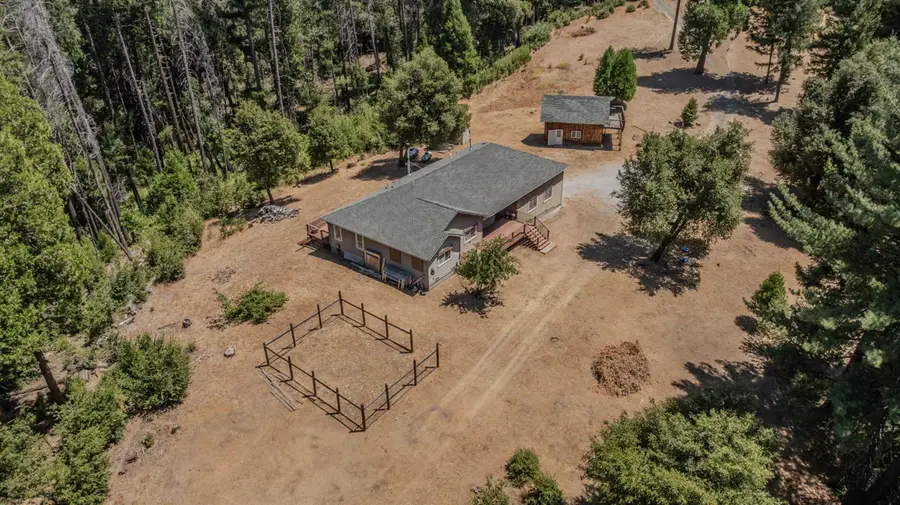 21641 Allan Road, Volcano, CA 95689 - #3