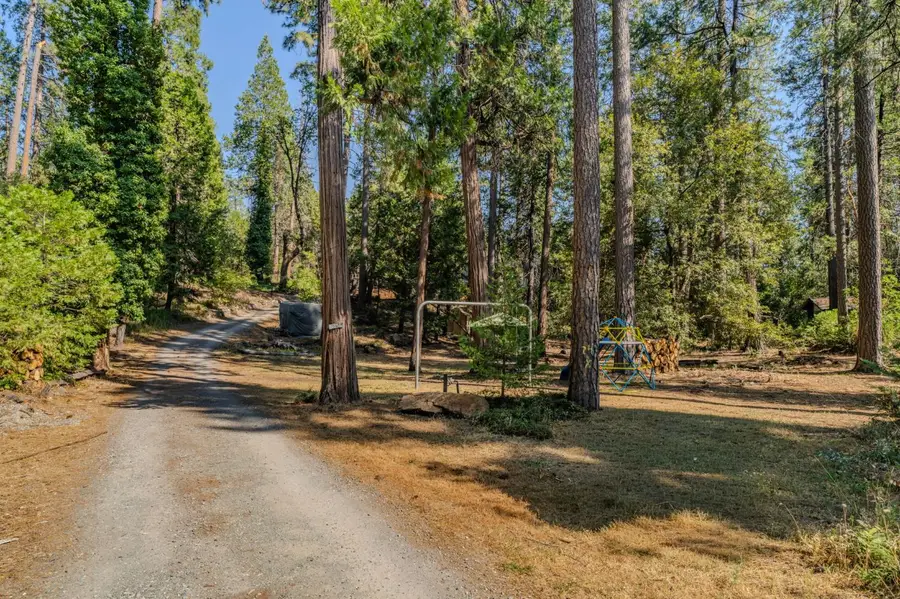 16056 N Cedar Heights Drive, Pioneer, CA 95666 - #3