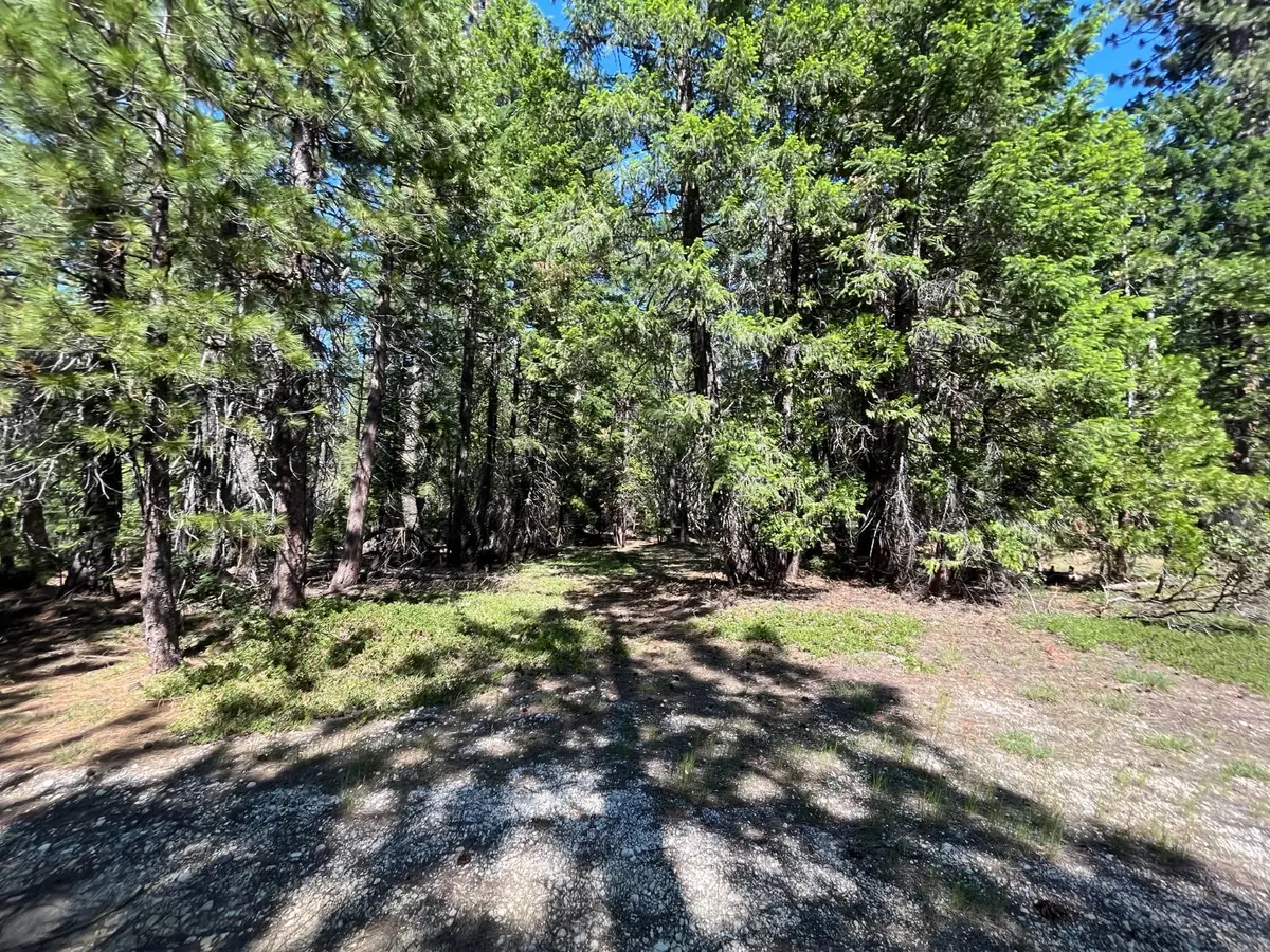 2761 Quincy La Porte Road, Strawberry Valley, CA 95981 - #1