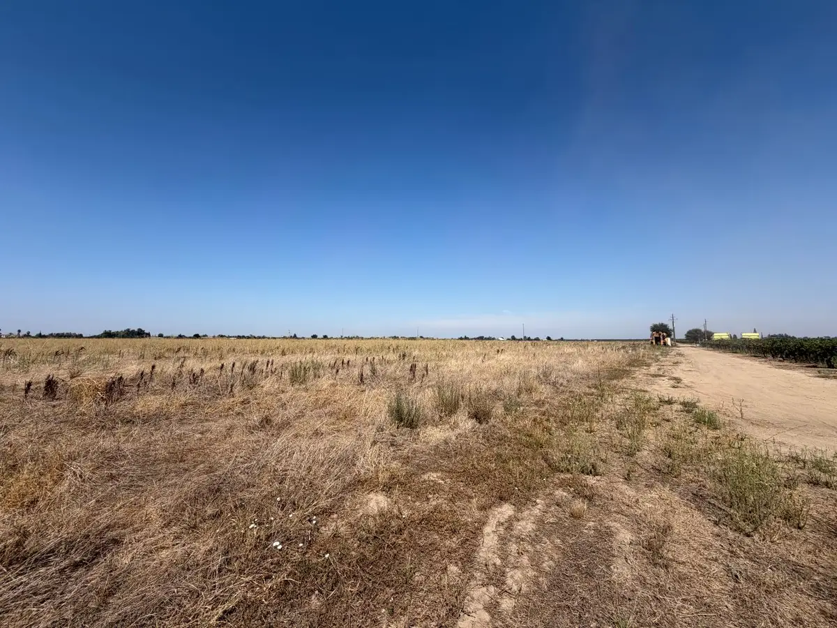 14100 N Locust Tree Road, Lodi, CA 95240 - #1