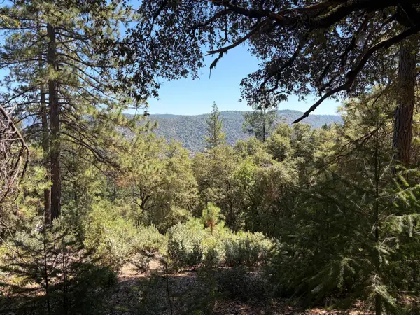 24800 N Canyon Way, Colfax, CA 95713