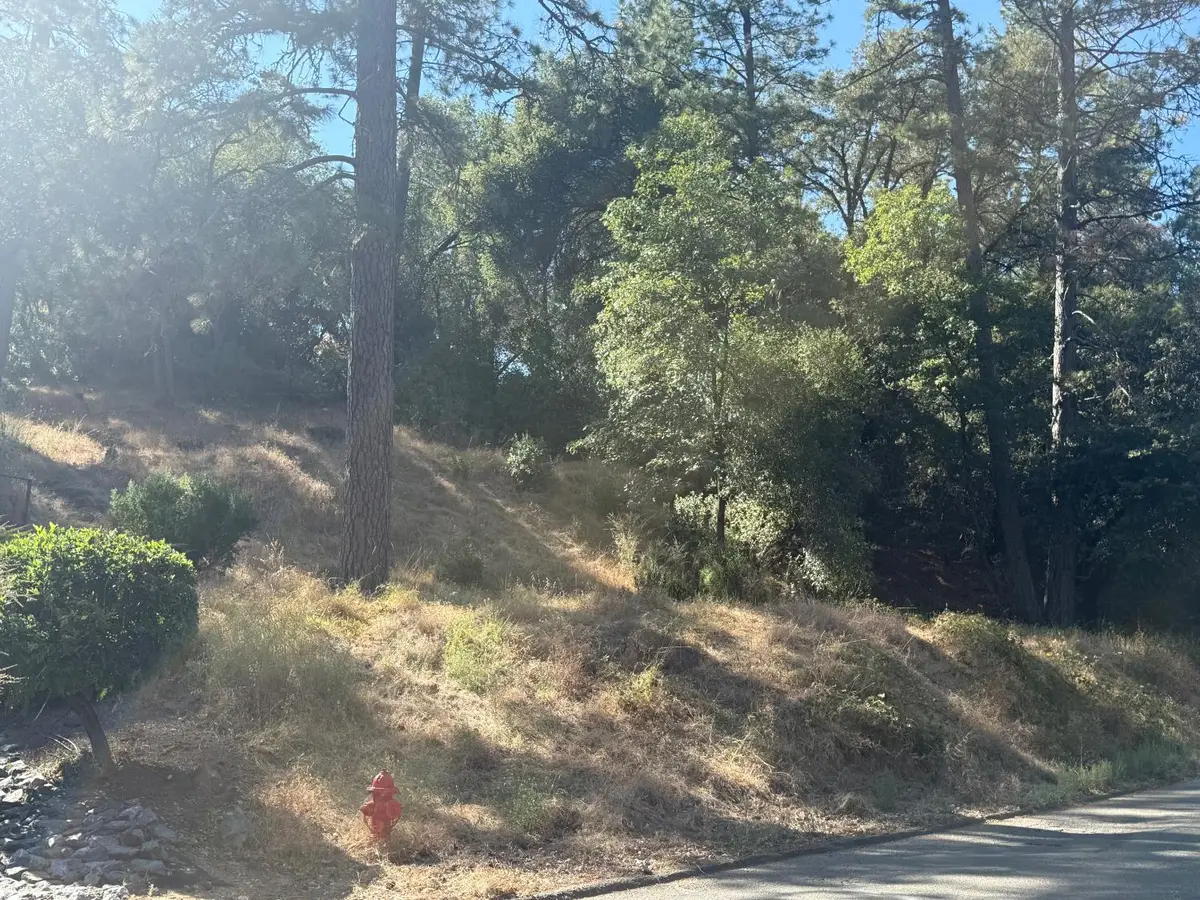 2750 Bedford Avenue, Placerville, CA 95667 - #1