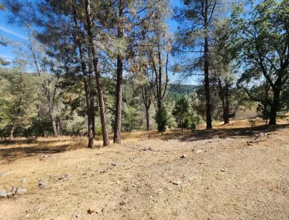5331 Five Spot Road, Pollock Pines, CA 95726 - #3