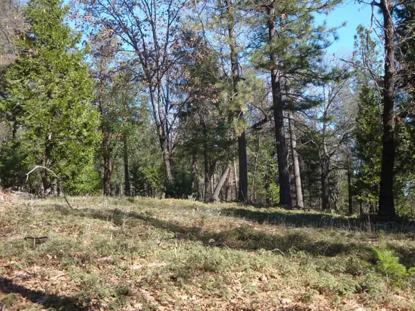 0 Foresthill, Foresthill, CA 95631