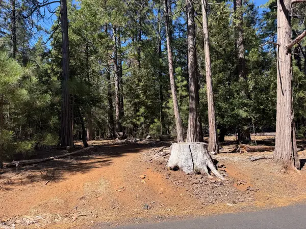 19470 Creek Drive, Pioneer, CA 95666