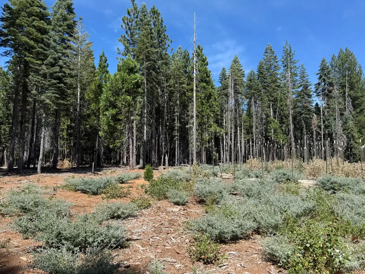 15379 Robbins Ranch Road, Nevada City, CA 95959 - #1