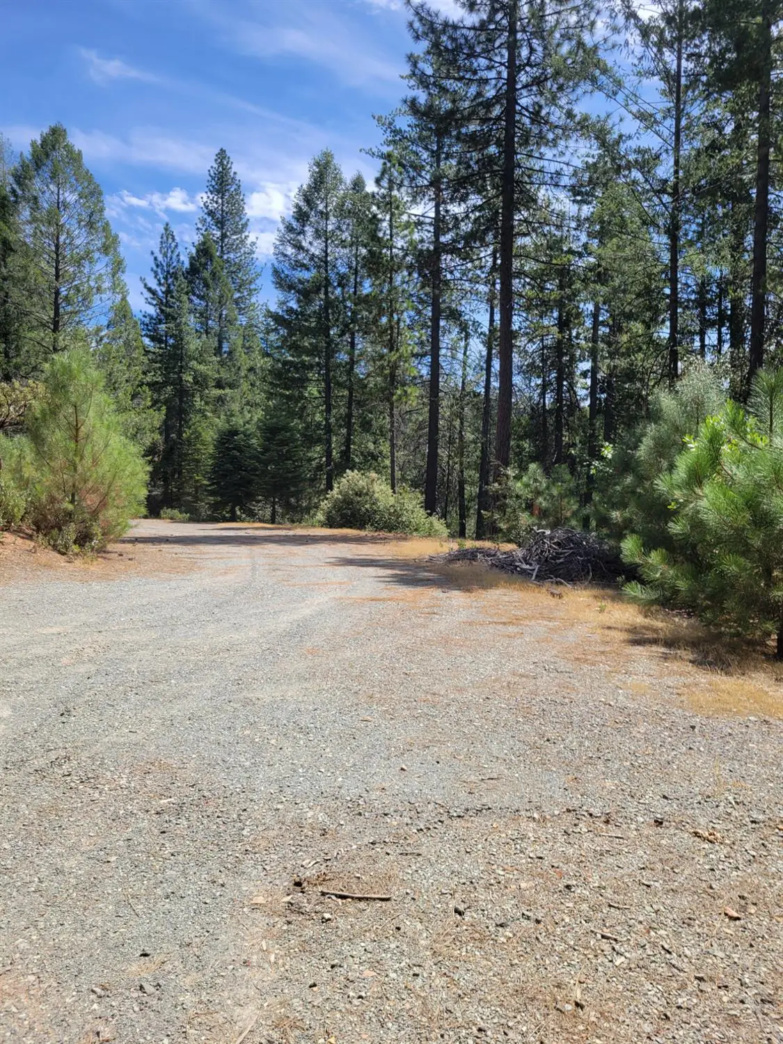 2678 Christmas Tree Lane, Georgetown, CA 95634 - #1