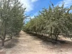 2301 Coelho Road, Manteca, CA 95336 - #1