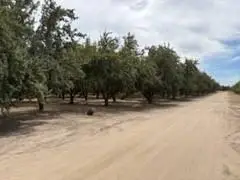 11500 S Airport Way, Manteca, CA 95336 - #1