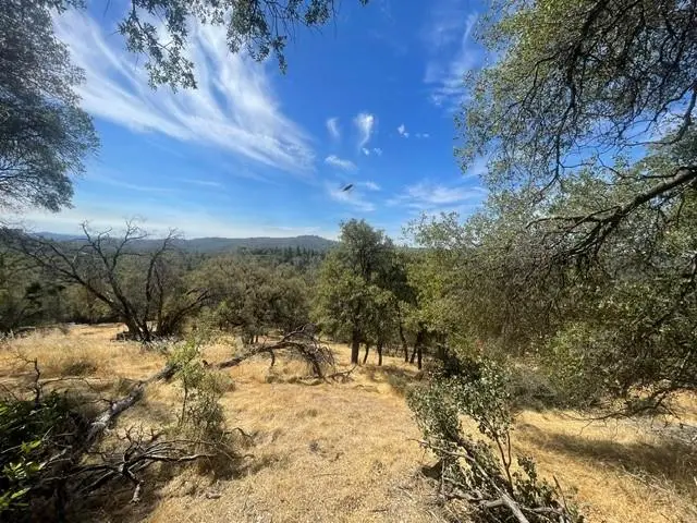 4748 Pine Tree Court, Pilot Hill, CA 95664 - #1