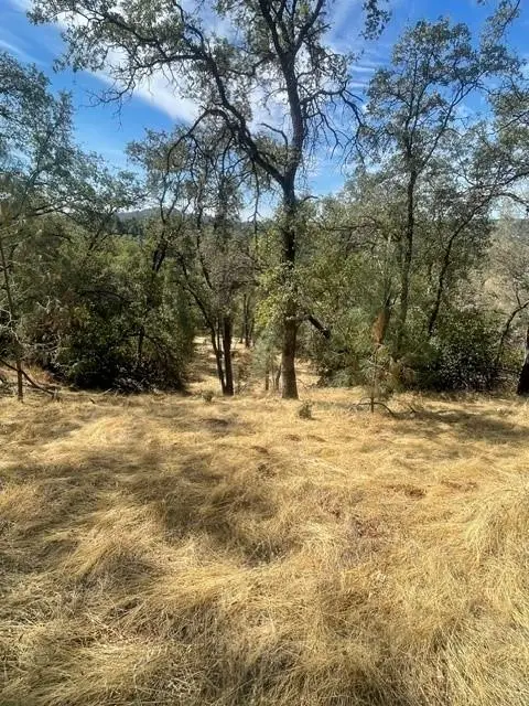 4748 Pine Tree Court, Pilot Hill, CA 95664 - #2