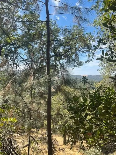 4748 Pine Tree Court, Pilot Hill, CA 95664 - #3