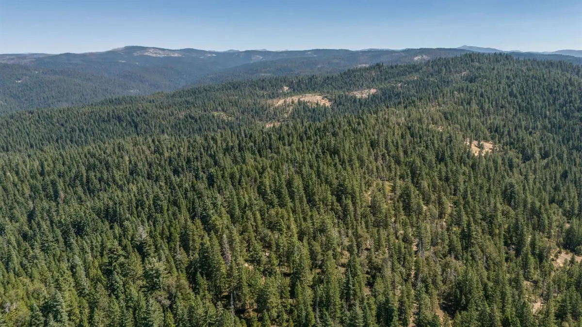 0 Armstrong Grade - Hwy 88, Somerset, CA 95684 - #1
