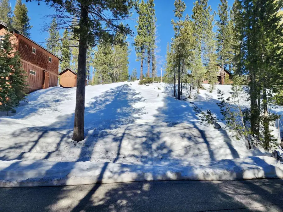 50926 Conifer Drive, Soda Springs, CA 95728 - #3