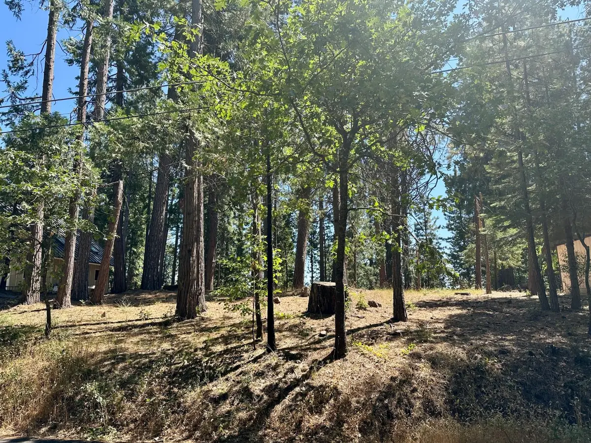 2659 Valley View Drive, Arnold, CA 95223 - #1