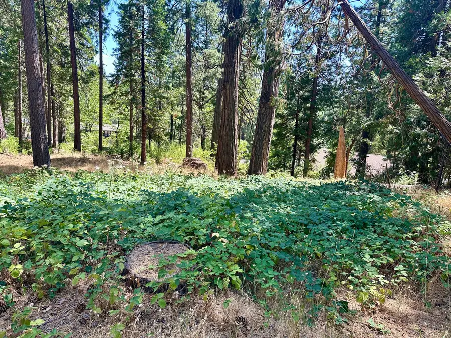 2659 Valley View Drive, Arnold, CA 95223 - #3