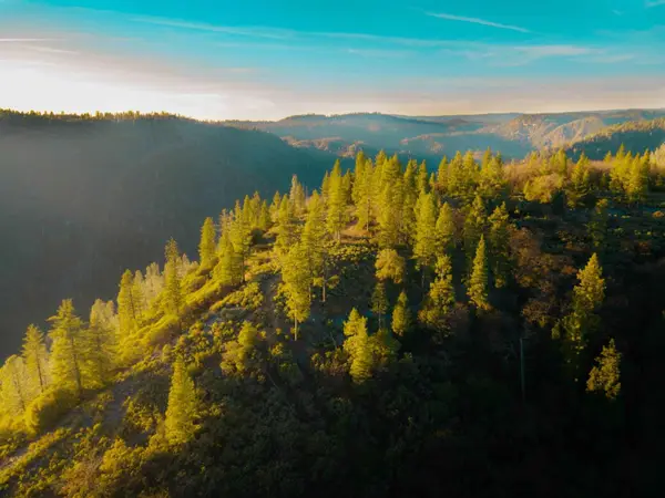 1800 Iowa Hill Road, Colfax, CA 95713