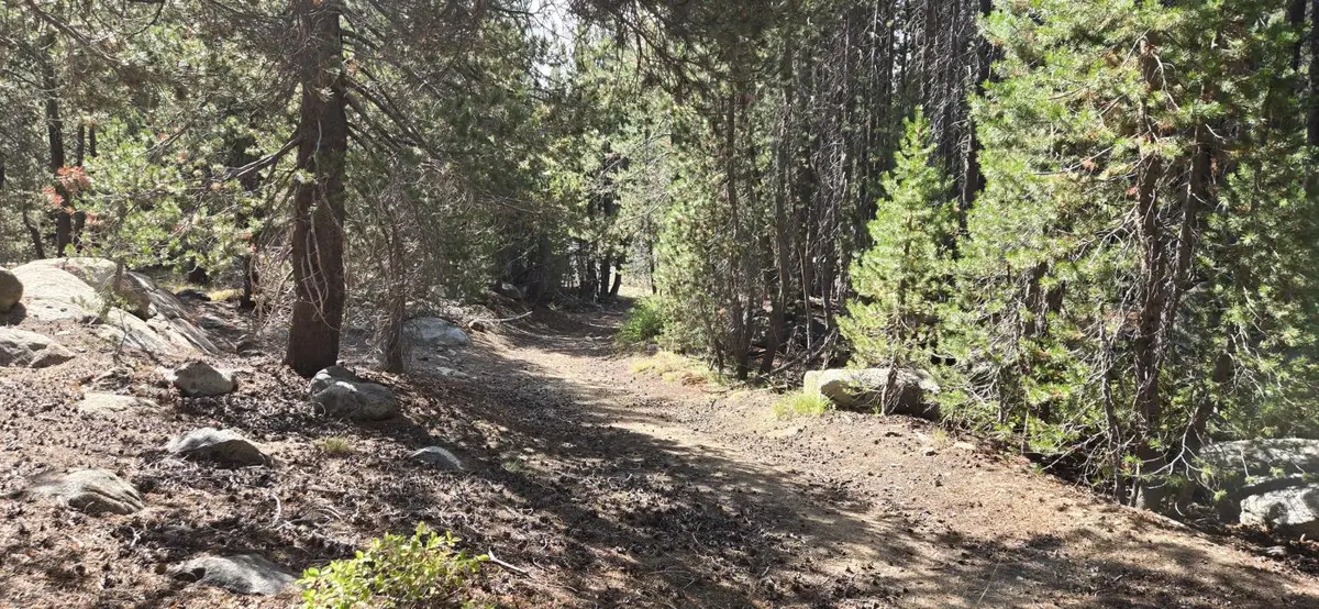 21031 Donner Pass Road, Soda Springs, CA 95728 - #1