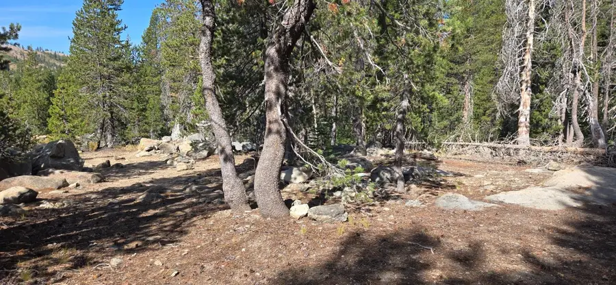 21031 Donner Pass Road, Soda Springs, CA 95728 - #2