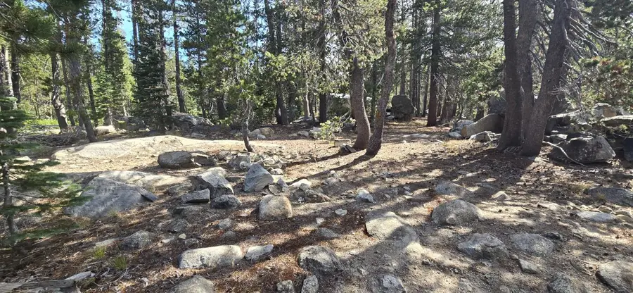 21031 Donner Pass Road, Soda Springs, CA 95728 - #3