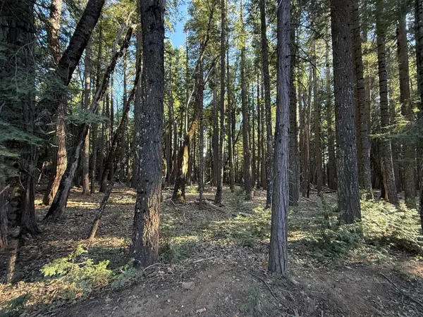 0 Chalk Bluff, Nevada City, CA 95959