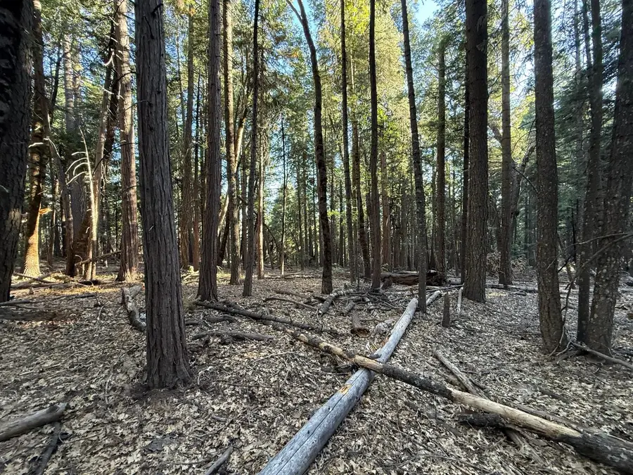 0 Chalk Bluff, Nevada City, CA 95959 - #2