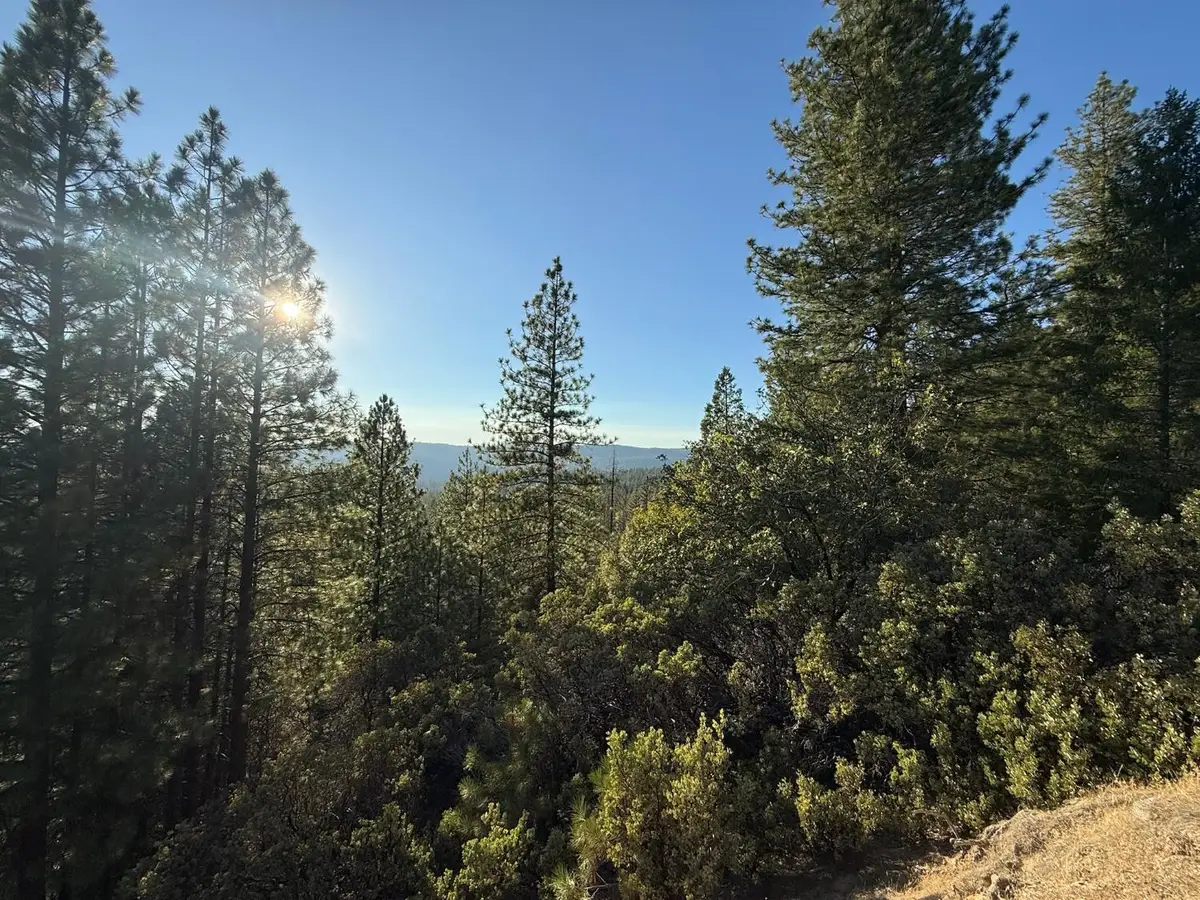 20357 Chalk Bluff Road, Grass Valley, CA 95945 - #1