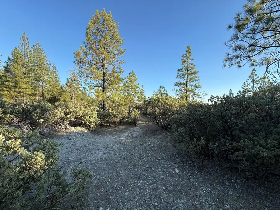 20357 Chalk Bluff Road, Grass Valley, CA 95945 - #3