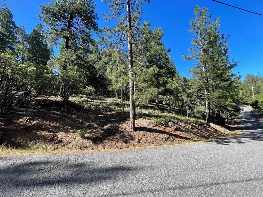 2112 Manzanita Drive, Arnold, CA 95223 - #2