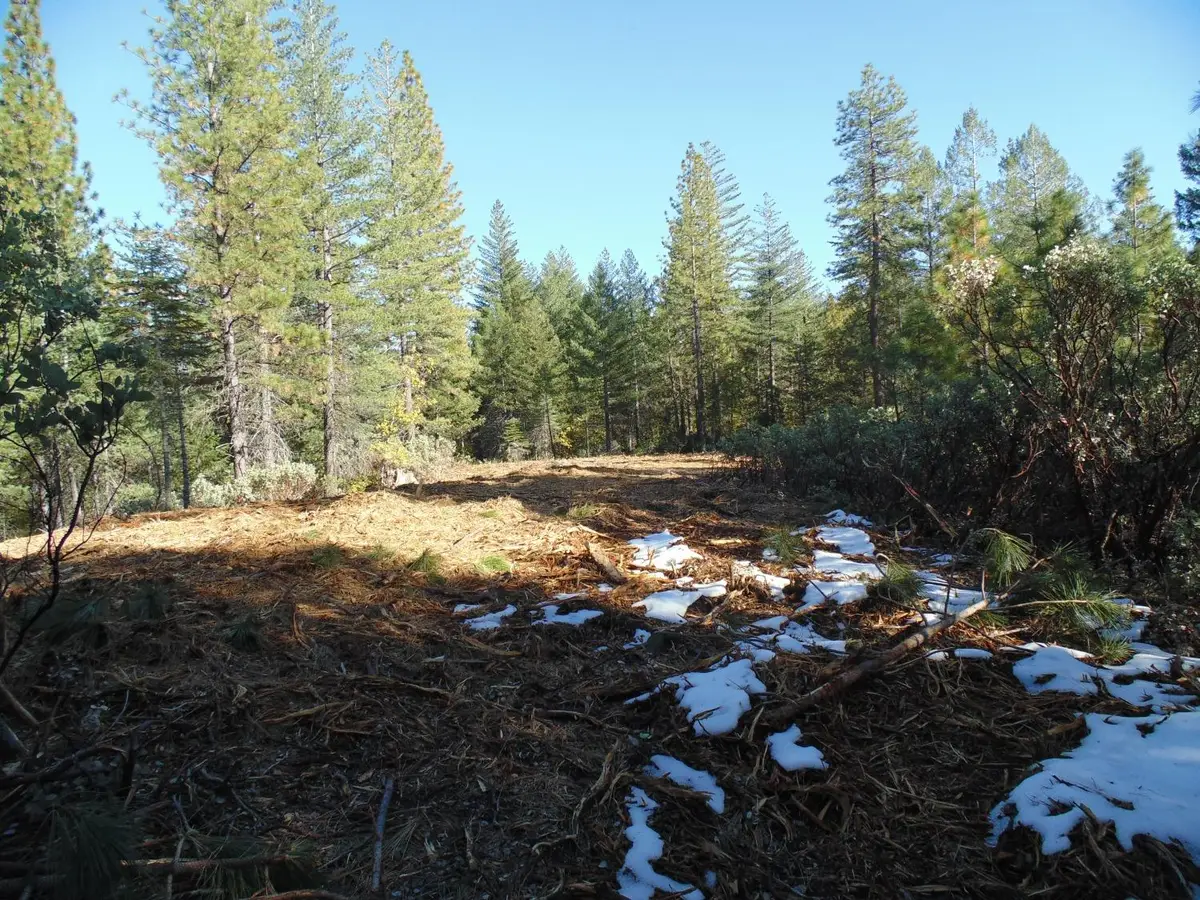 40 Ringtail Road, Georgetown, CA 95634 - #1