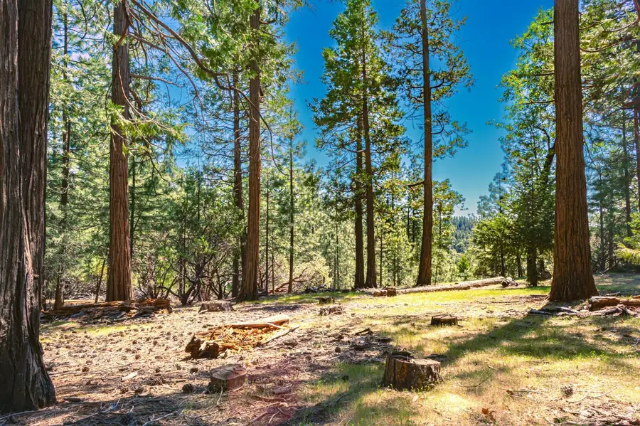 25594 Overland Drive, Volcano, CA 95689 - #2
