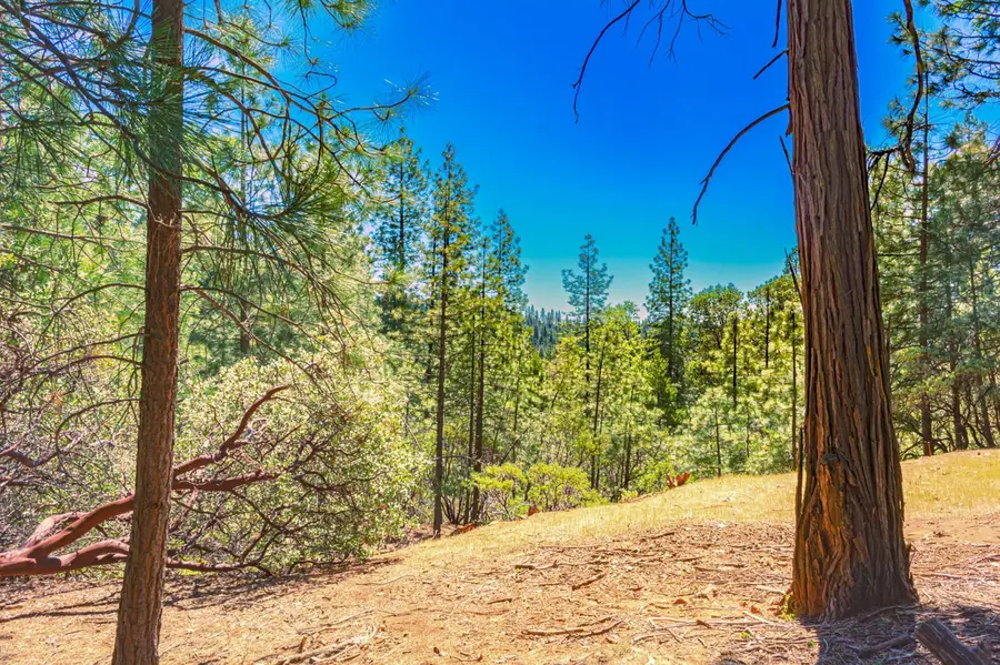 25594 Overland Drive, Volcano, CA 95689 - #3